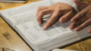 alur menerbitkan buku